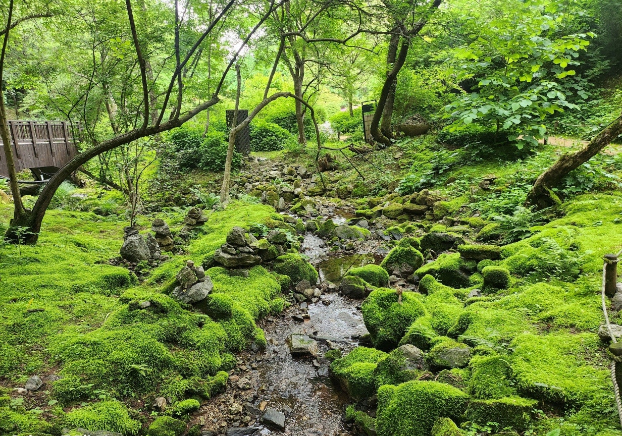 Quiet Escape